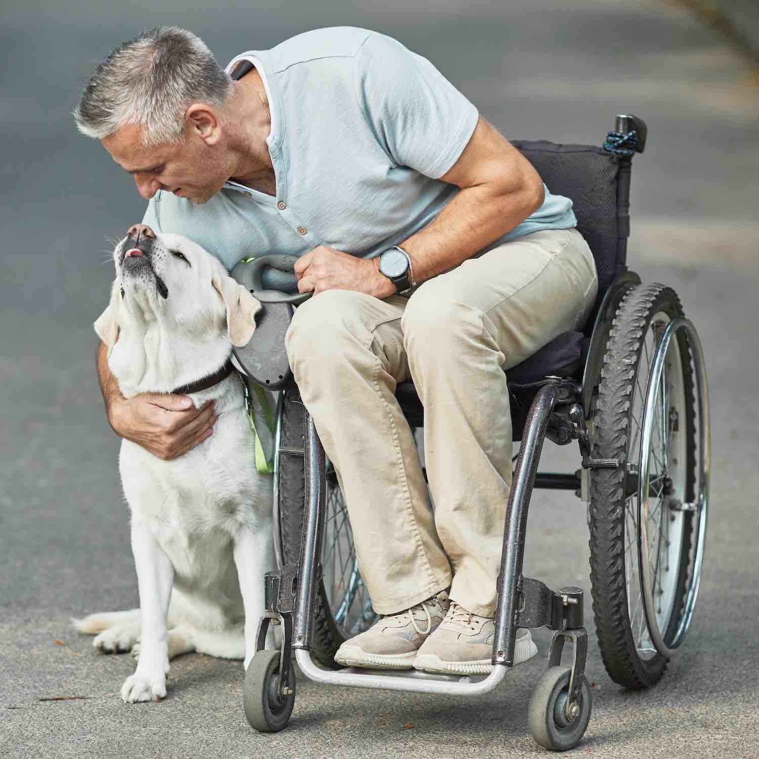 Location vente de matériel médical, Pharmacie Saint Michel, Flers